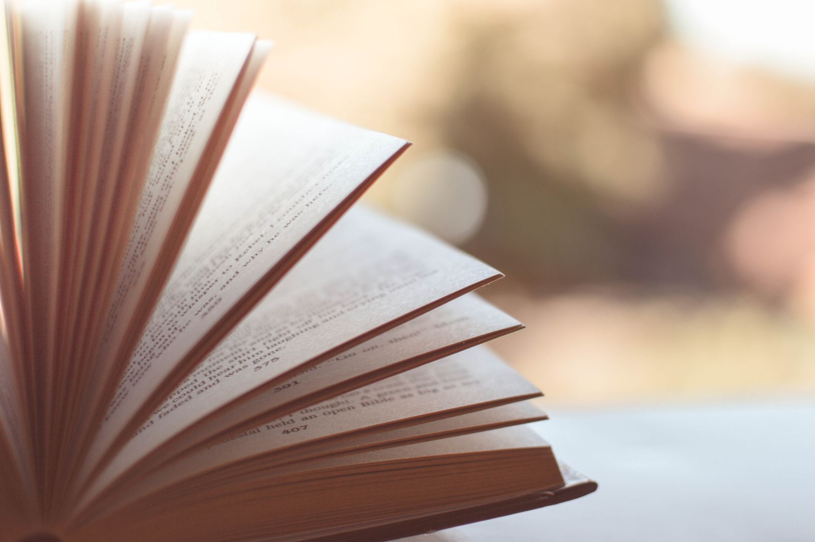 An open book with pages ready to be read